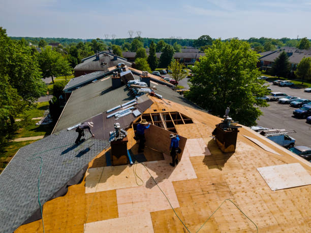 Best Storm Damage Roof Repair  in Savoy, IL