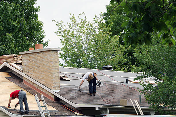 Best Metal Roofing Contractor  in Savoy, IL